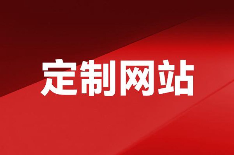 访谈记录：对话一家新兴软件开发公司的创始人